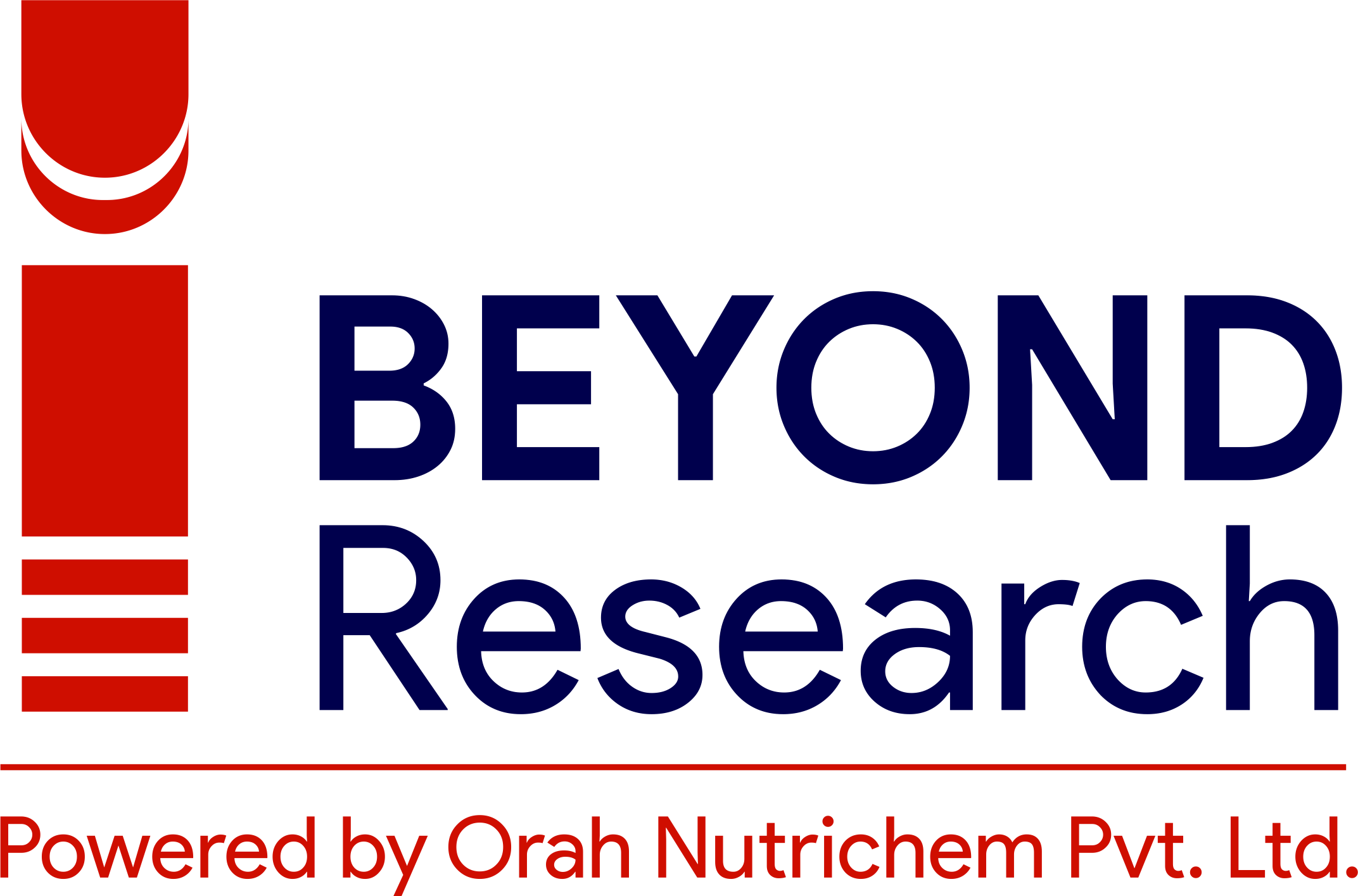 BRISC Logo